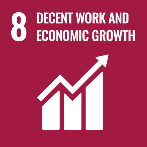 Sustainibility Index 8: decent work and economic growth