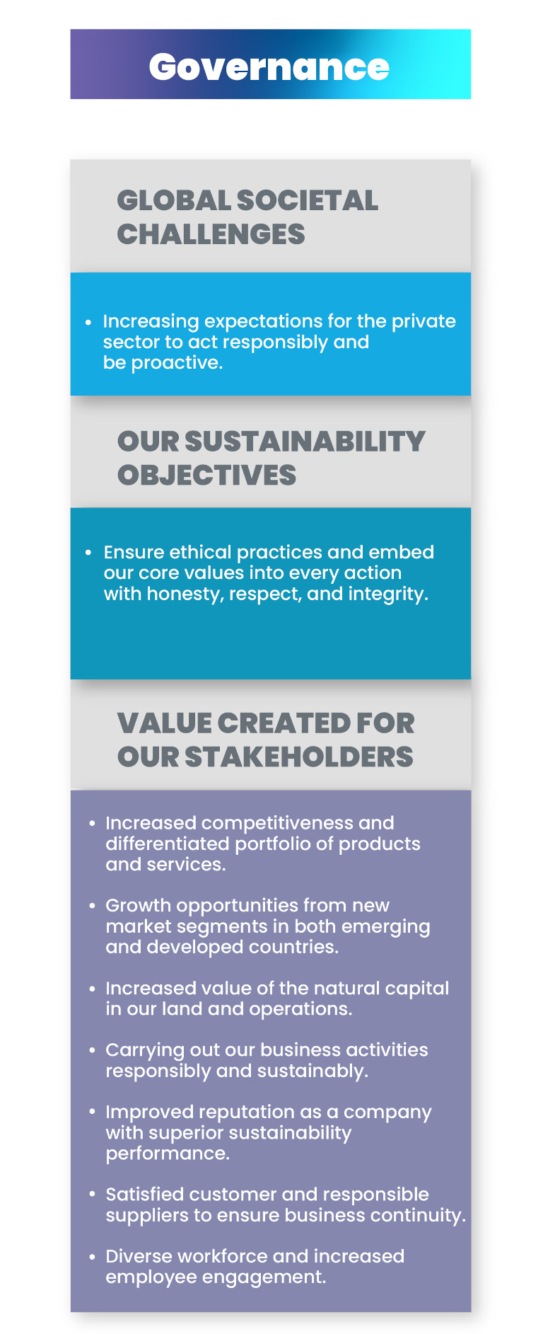 CEMEX Sustainability Model Governance detail